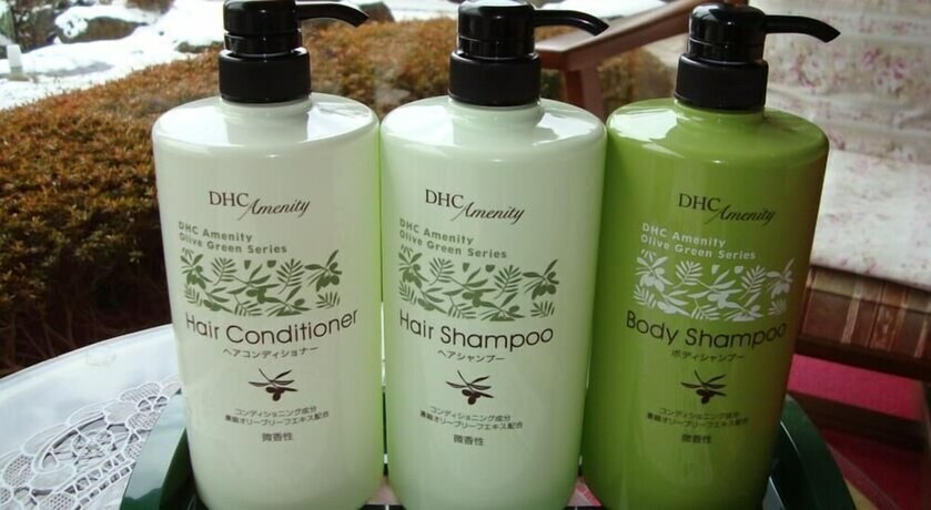 Imagen de la habitación del Ryokan Kinokuniya. Foto 28