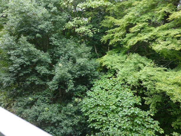 Imagen de la habitación del Ryokan Koito. Foto 26