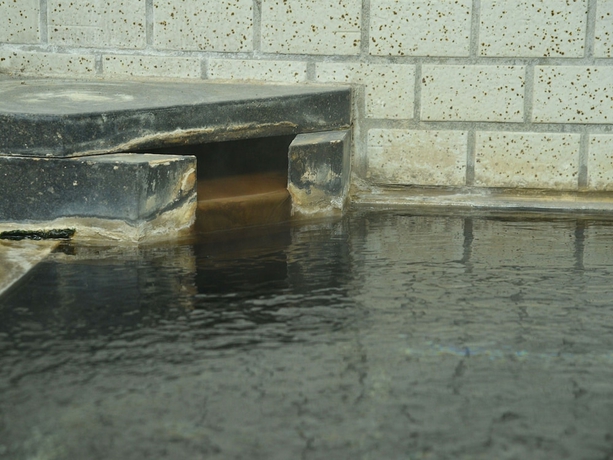 Imagen general del Ryokan Konpira Onsen Toramaru. Foto 3