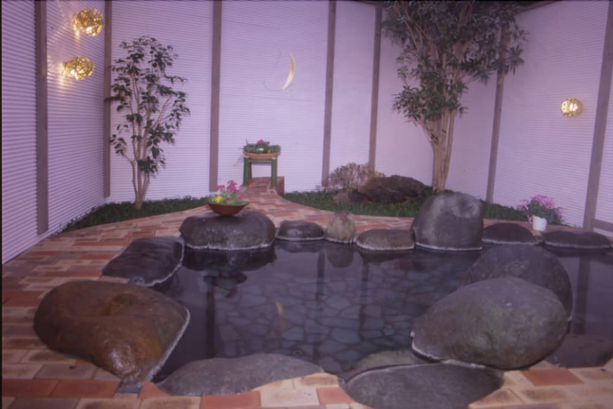 Imagen de la piscina del Ryokan Kurhaus Ishibashi. Foto 12