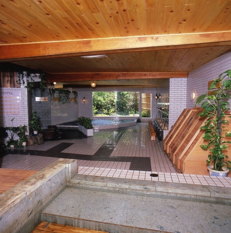 Imagen de la piscina del Ryokan Kurhaus Ishibashi. Foto 13