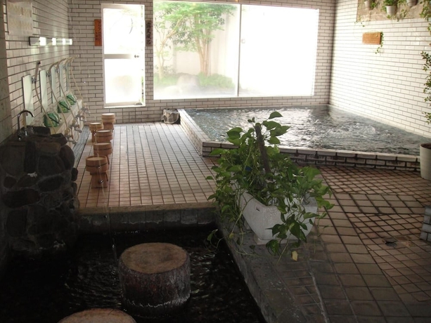 Imagen de la piscina del Ryokan Kurhaus Ishibashi. Foto 15
