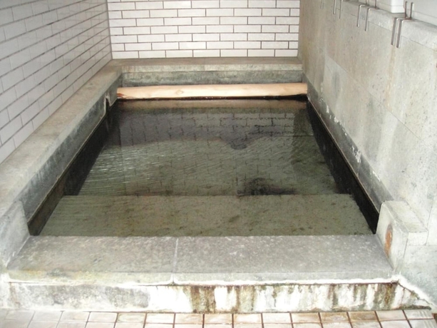 Imagen de la piscina del Ryokan Kurhaus Ishibashi. Foto 16