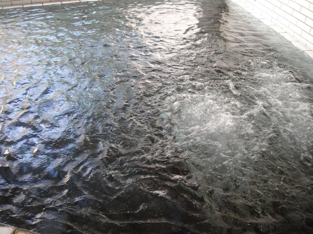Imagen de la piscina del Ryokan Kurhaus Ishibashi. Foto 17