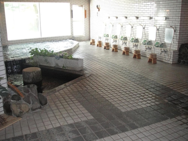 Imagen de la piscina del Ryokan Kurhaus Ishibashi. Foto 18