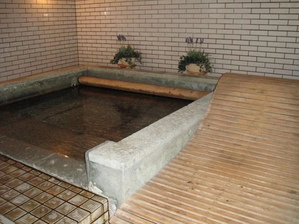 Imagen de la piscina del Ryokan Kurhaus Ishibashi. Foto 19