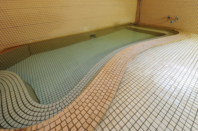 Imagen de los interiores del Ryokan Matsudaya, Hanamaki. Foto 10