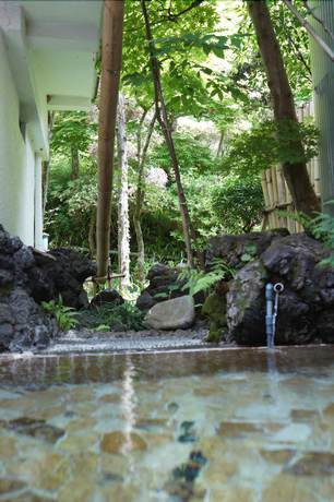 Imagen general del Ryokan Midoriya Kichiemon. Foto 3