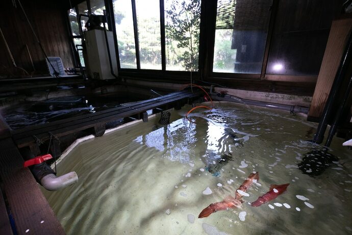 Imagen general del Ryokan Mizuno. Foto 2