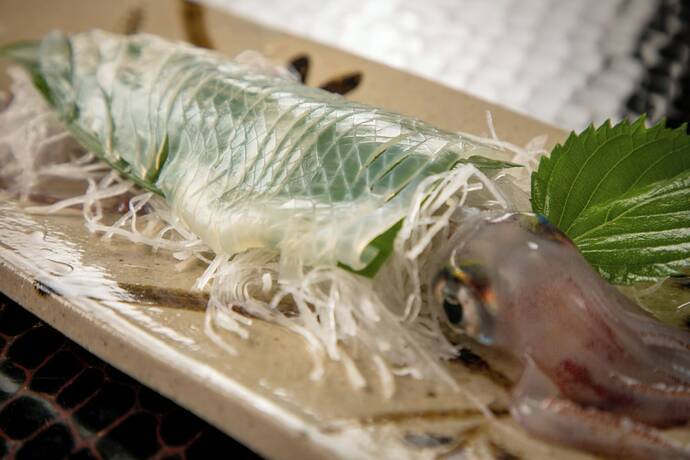 Imagen general del Ryokan Mizuno. Foto 3