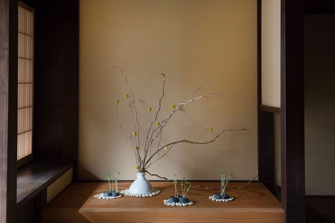 Imagen de la habitación del Ryokan Mugen. Foto 7
