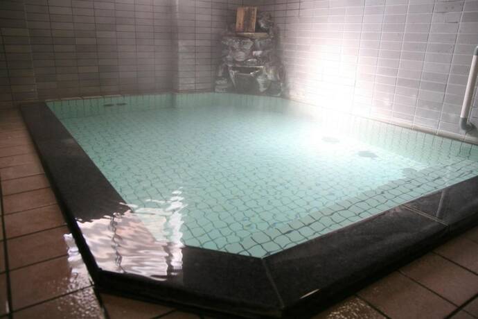 Imagen general del Ryokan Nakajimaya. Foto 4