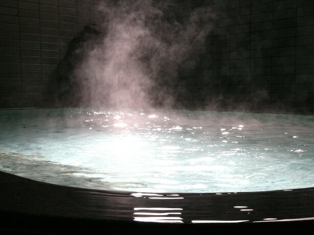 Imagen general del Ryokan Nakajimaya. Foto 8