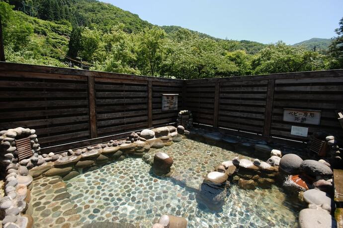 Imagen general del Ryokan Nakaya. Foto 25