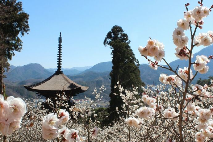 Imagen general del Ryokan Nara, Nara. Foto 3