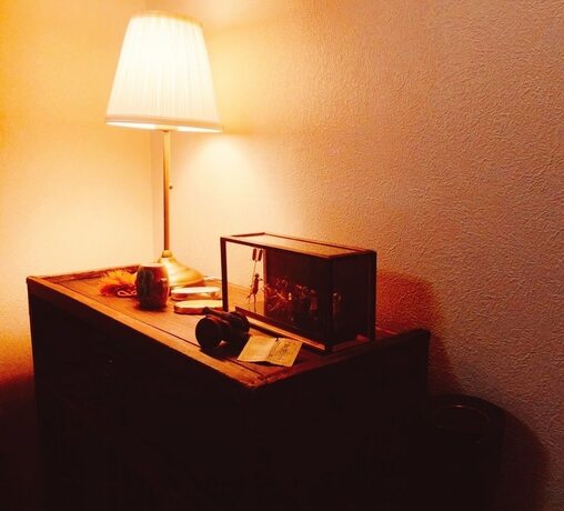 Imagen general del Ryokan Nara, Nara. Foto 5