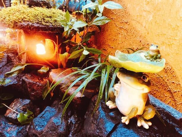 Imagen general del Ryokan Nara, Nara. Foto 6