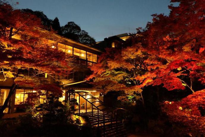 Imagen general del Ryokan Negiya Traditional Japanese Spa. Foto 11