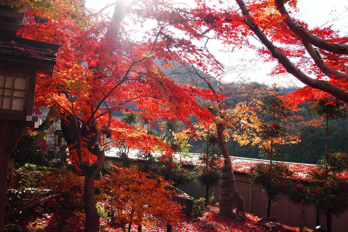 Imagen de la habitación del Ryokan Nenrinbo. Foto 6