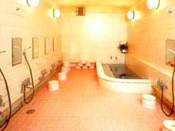 Imagen de la habitación del Ryokan Nihonkan Hotel. Foto 4
