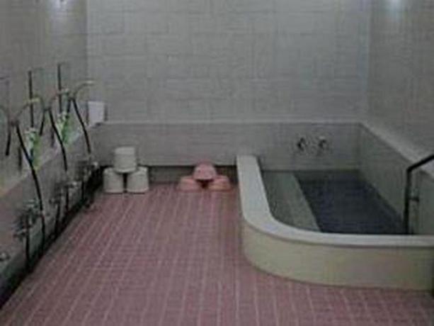 Imagen de la habitación del Ryokan Nihonkan Hotel. Foto 5