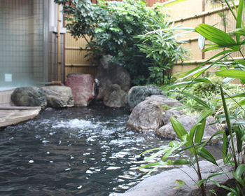 Imagen de los exteriores del Ryokan Obama Onsen Tsutaya. Foto 9