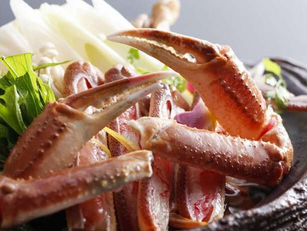 Imagen general del Ryokan Ohashi. Foto 17