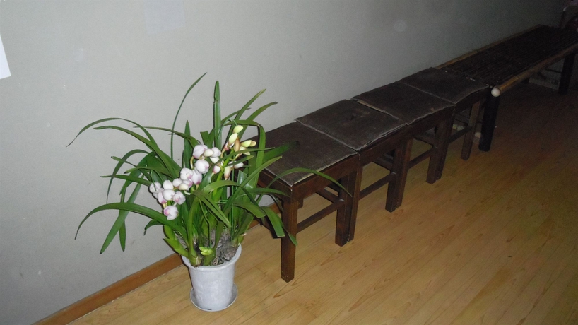 Imagen de los interiores del Ryokan Ohto. Foto 6