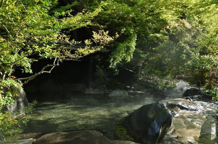 Imagen general del Ryokan Okunoyu. Foto 8