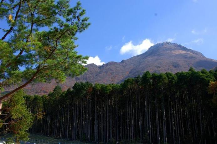 Imagen general del Ryokan Onjuku Yagura. Foto 3