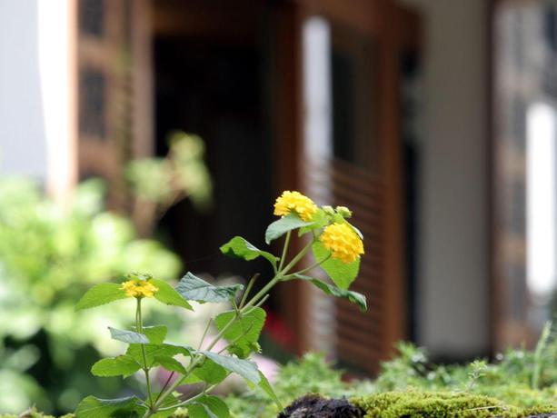 Imagen general del Ryokan Otowaya. Foto 3