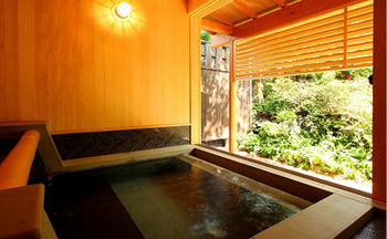 Imagen de la piscina del Ryokan Pinon. Foto 9