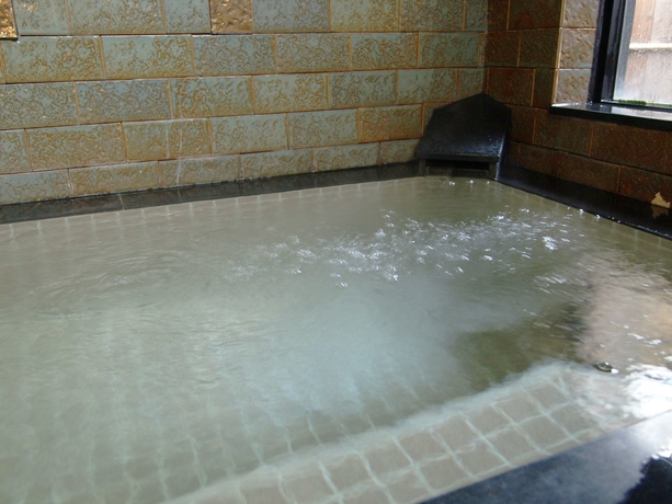 Imagen de la piscina del Ryokan Ryouri Watanabe. Foto 10