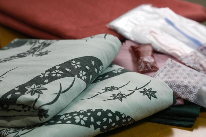 Imagen de la habitación del Ryokan Sanga, Minamioguni. Foto 14