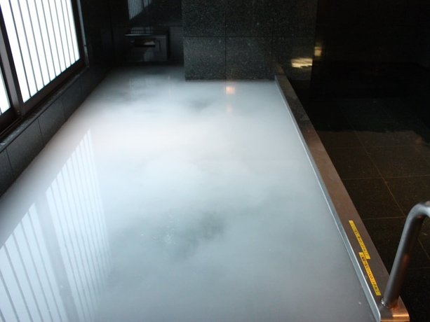 Imagen de la piscina del Ryokan Satomo. Foto 17