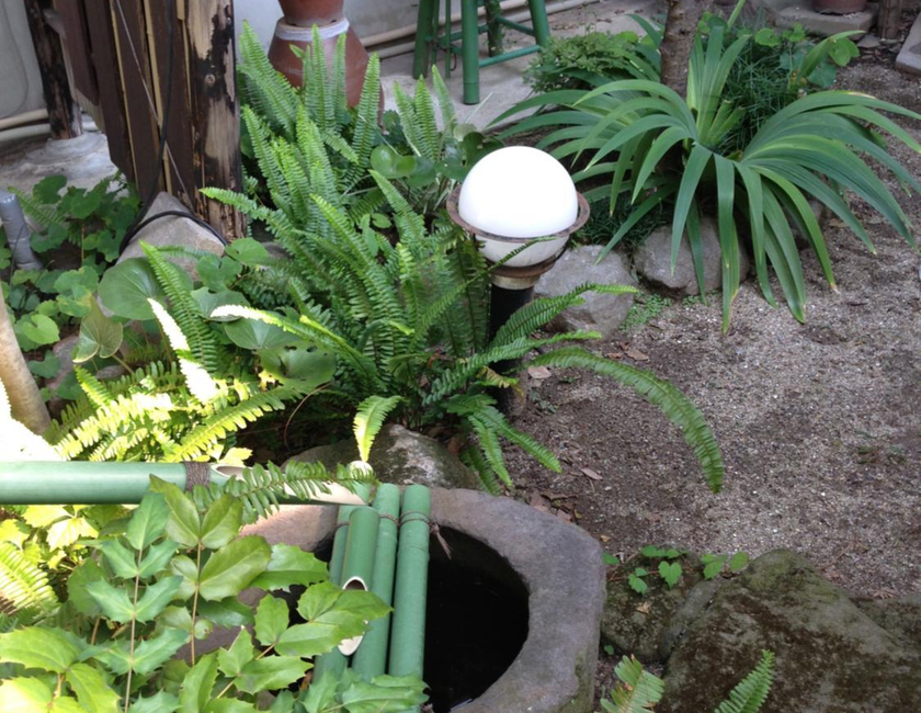 Imagen general del Ryokan Seifuso, Omuta. Foto 13