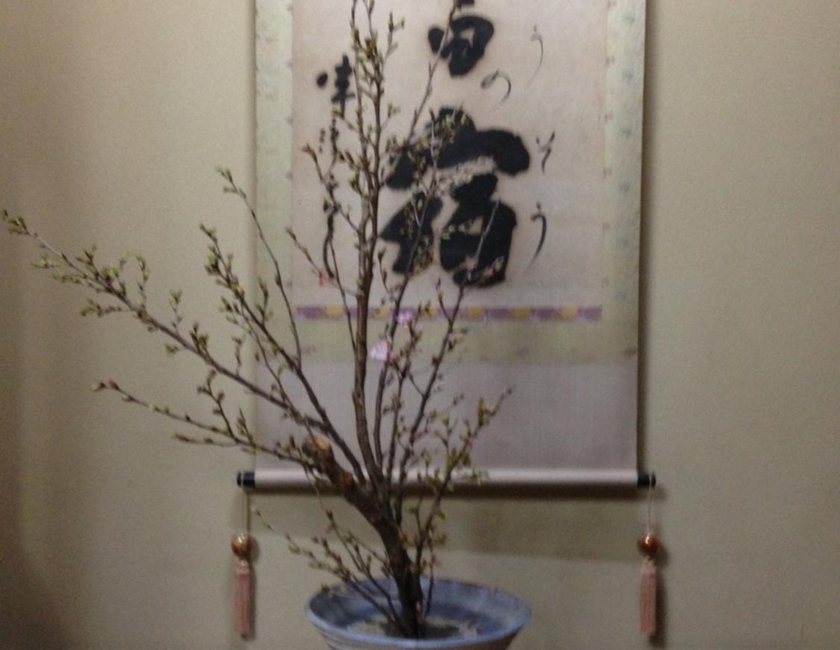 Imagen general del Ryokan Seifuso, Omuta. Foto 14
