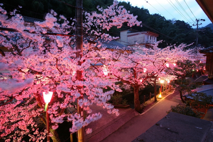 Imagen de los exteriores del Ryokan Sento, KOBE. Foto 12
