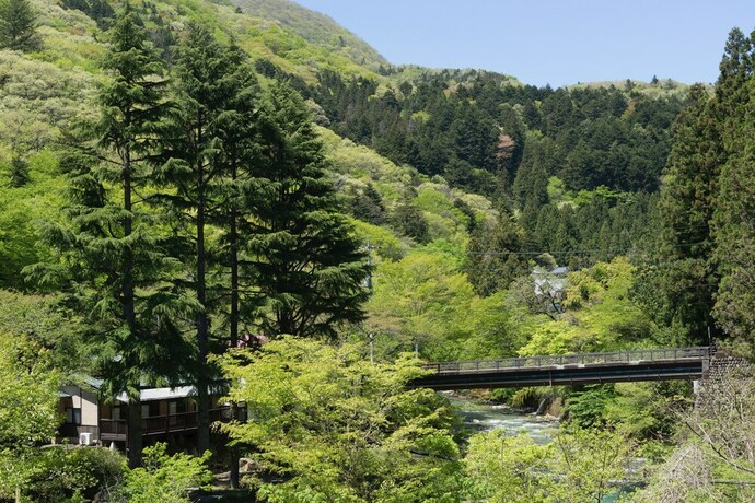 Imagen de la habitación del Ryokan Shima Onsen Kashiwaya. Foto 27