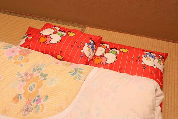 Imagen de la habitación del Ryokan Shiori. Foto 10
