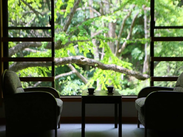 Imagen general del Ryokan Shirahone Onsen Tsuruya. Foto 5