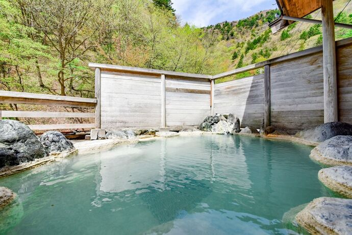 Imagen general del Ryokan Shirahone Onsen Tsuruya. Foto 12