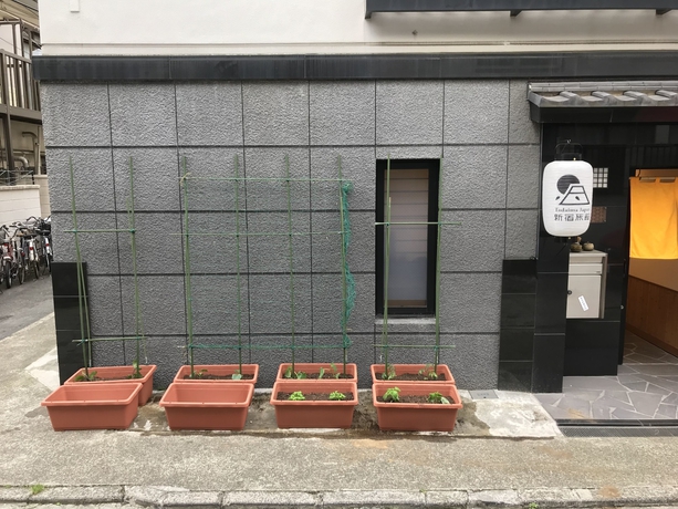 Imagen general del Ryokan Tadaima Japan Shinjuku. Foto 5