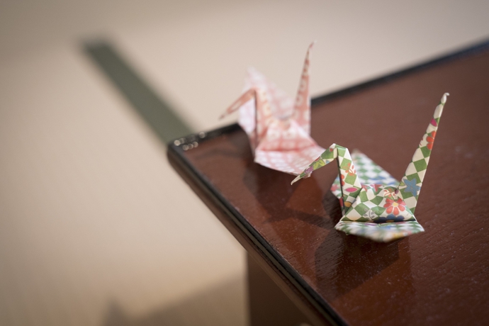 Imagen de los interiores del Ryokan Tadaima Japan Shinjuku. Foto 19