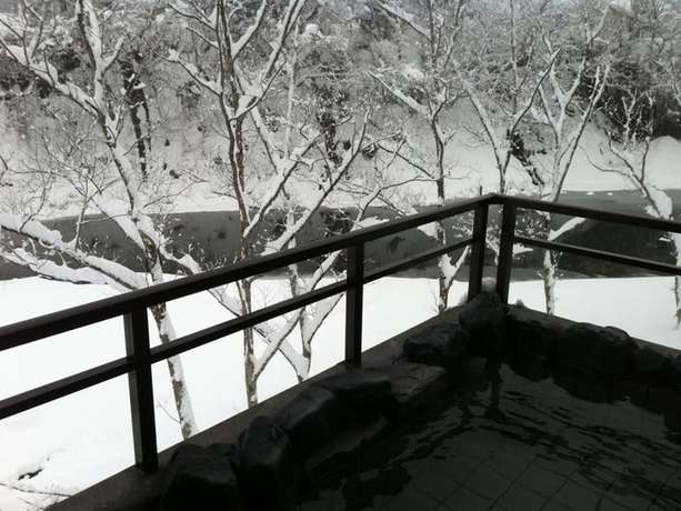 Imagen de la habitación del Ryokan Tairyukaku Iwate Yumoto Onsen. Foto 17