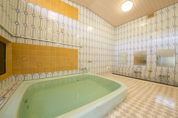 Imagen general del Ryokan Tamagawa. Foto 1