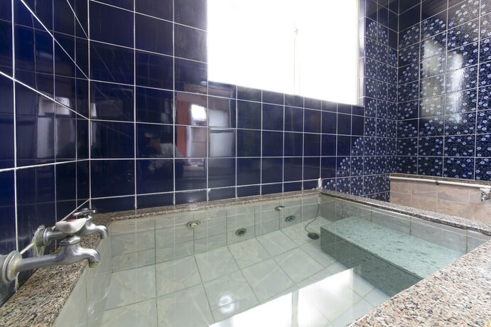 Imagen de la piscina del Ryokan Tamagawa. Foto 26