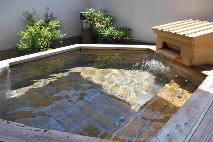Imagen de la piscina del Ryokan Tanigawa. Foto 14