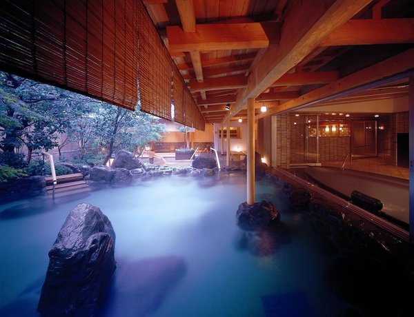Imagen de la piscina del Ryokan Tokiichiyu. Foto 14