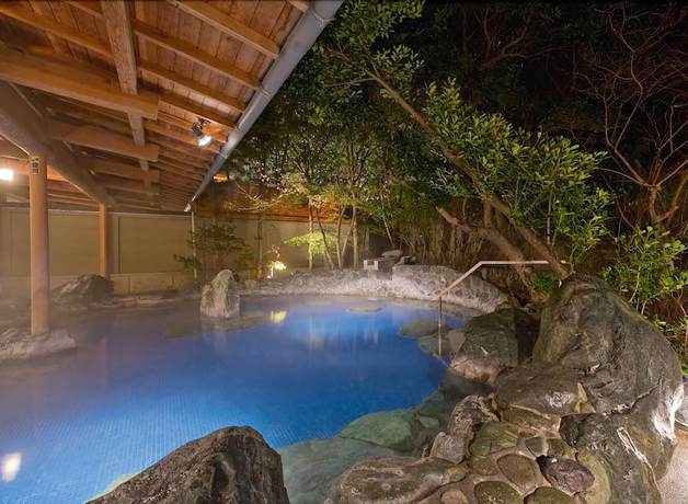 Imagen de la piscina del Ryokan Tokiichiyu. Foto 15
